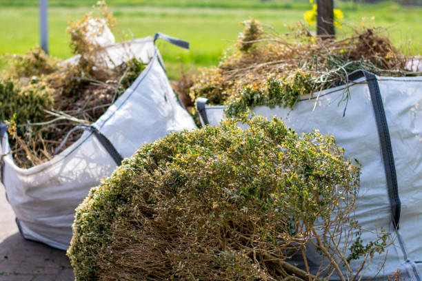 Best Local Junk Hauling  in Lockwood, MO